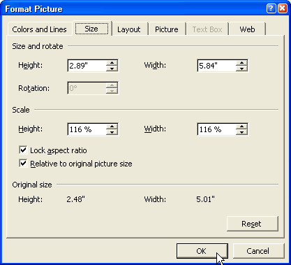 Format Picture dialog box - Size tab