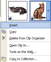 Inserting an image from the Insert Clip Art task pane