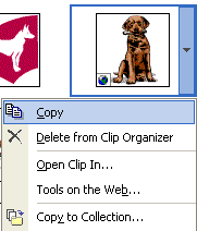 Inserting an image from the Insert Clip Art task pane