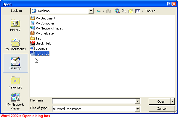 Word 2002's Open dialog box