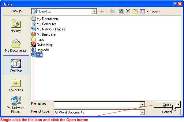 Word 2002's Open dialog box