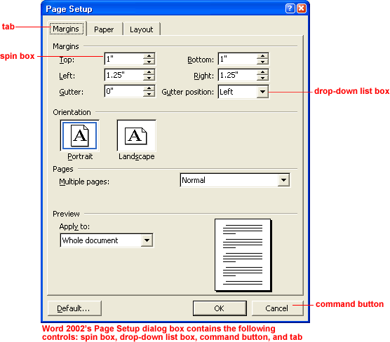 Word 2002's Page Setup dialog box