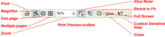 Word 2002's Print Preview toolbar