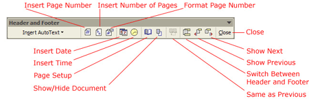 word 2016 header and footer design tool bar