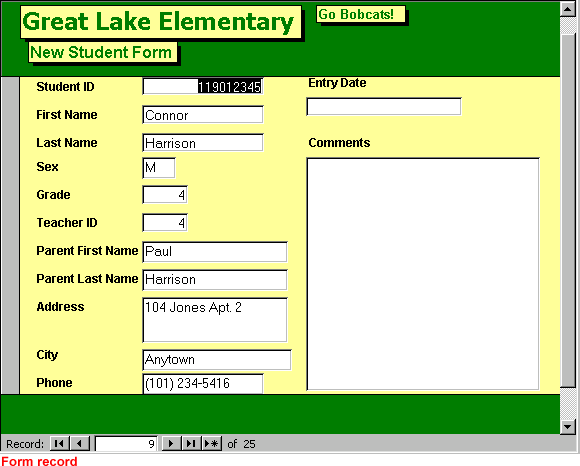 Great Lake Elementary form record