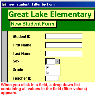 Picture of Great Lake Elementary form - When you click in a field, a drop-down list containing all the criteria in the field