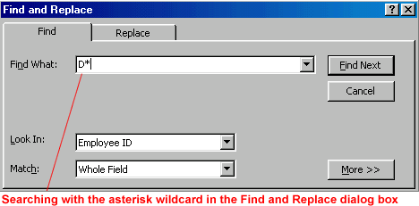 Searching with Asterisk wildcard in the Find and Replace dialog box