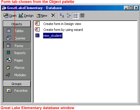 Great Lake Elementary database window. Form tab chosen from the Object palette.