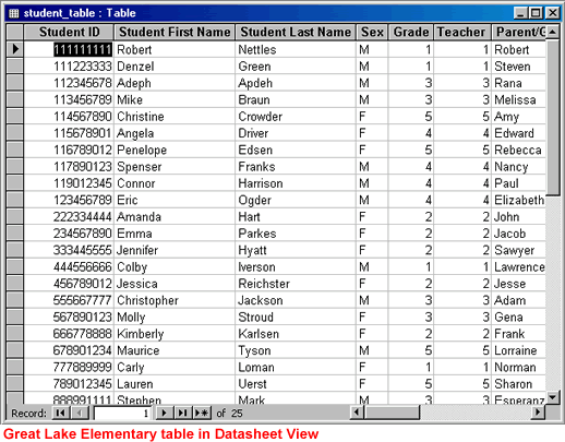 Great Lake Elementary table in Datasheet View