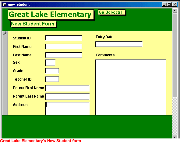 A blank Great Lake Elementary New Student form.
