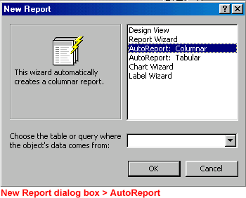 New Report dialog box - AutoReport