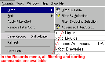 Picure of Records menu: In the records menu, all filtering and sorting commands are available