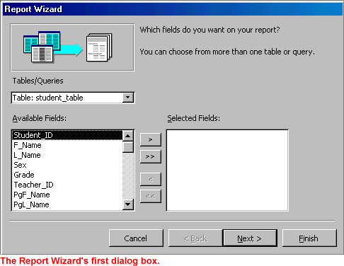 Report Wizard's first dialog box