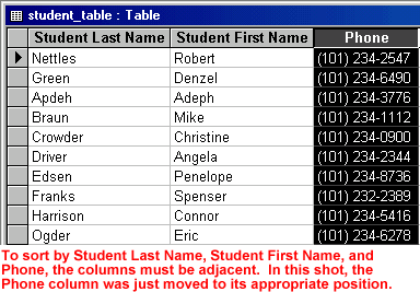 To sort by Student Last Name, Student First Name, and Phone, the columns must be adjacent. In this picture, the Phone column was just moved to its appropriate position
