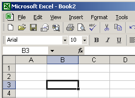 The Excel XP Cell
