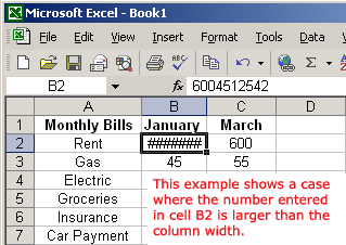 Column Too Small for Data