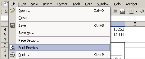 excel 2010 print selection