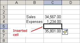 Cell Inserted Into A Spreadsheet