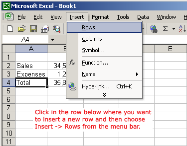 Insert and Rows Menu Selections