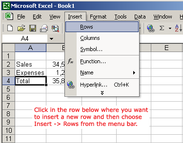 Excel XP Inserting and Deleting Rows and Columns