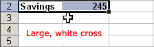 White Cross Pointer