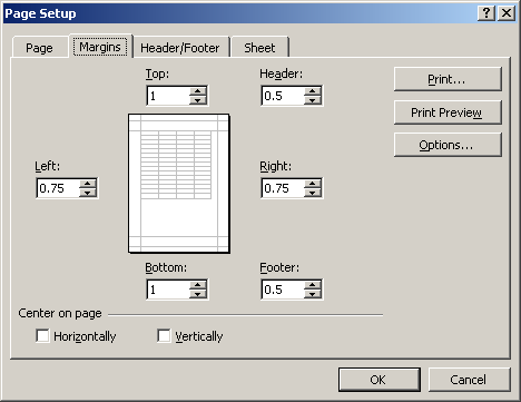 Excel XP Defining Page Setup Options   ExXP Pagesetupdb Marginstab 