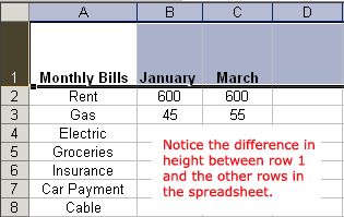 Expanded Row Height