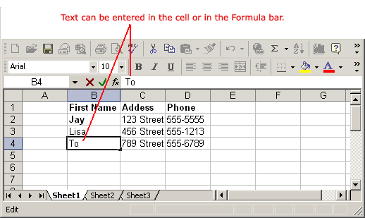 Text is Entered in Cell or Formula Bar