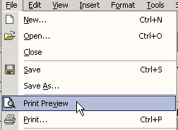 Click on File, choose Print Preview