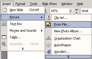 Click Insert, choose From File