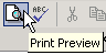 Print Preview button