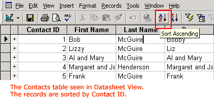 Records Shown in Datasheet View