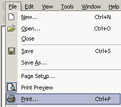 Print OPtion Under File Menu