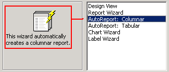 Columnar Report Sample in Wizard