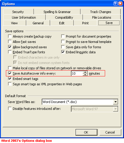 accessing microsoft word document recovery 2003