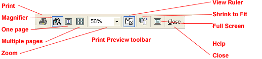 Word 2003's Print Preview toolbar
