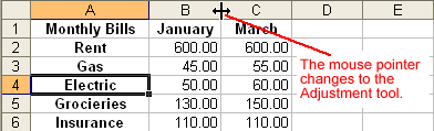 Selecting a Column's Border