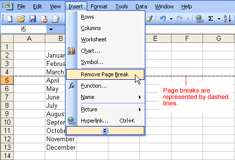 Insert and Remove Page Break Menu Options