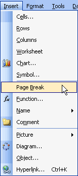 Insert and Page Break Menu Options