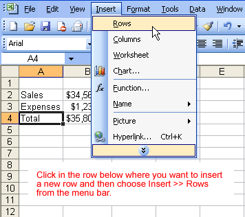 Insert and Rows Menu Selections
