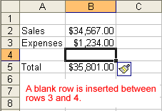 New Row Inserted into Spreadsheet