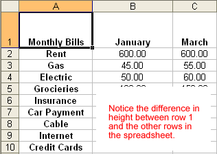 Expanded Row Height