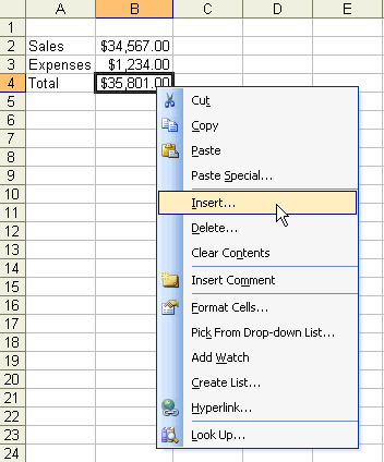 insert column excel shortcut office 2003