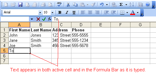 Text Appears in Cell and Formula Bar When Typed
