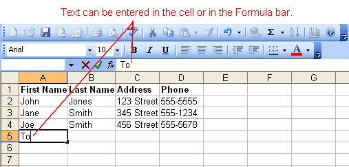 Text is Entered in Cell or Formula Bar