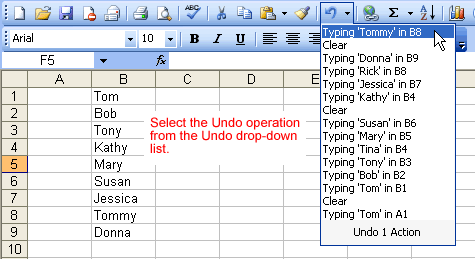 The Undo List Box