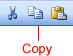 Copy Button