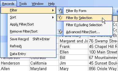 Filter by Selection Option in the Records Menu
