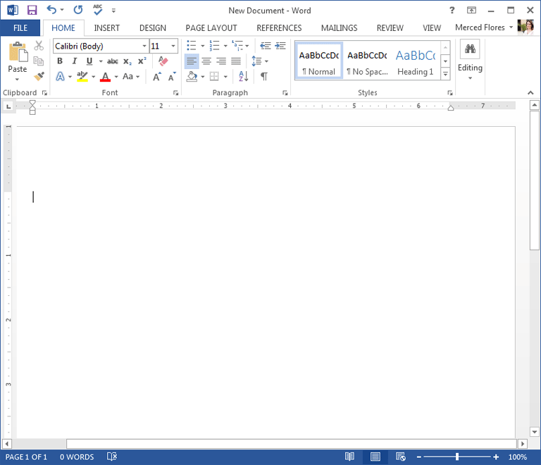 parts of ms word screen