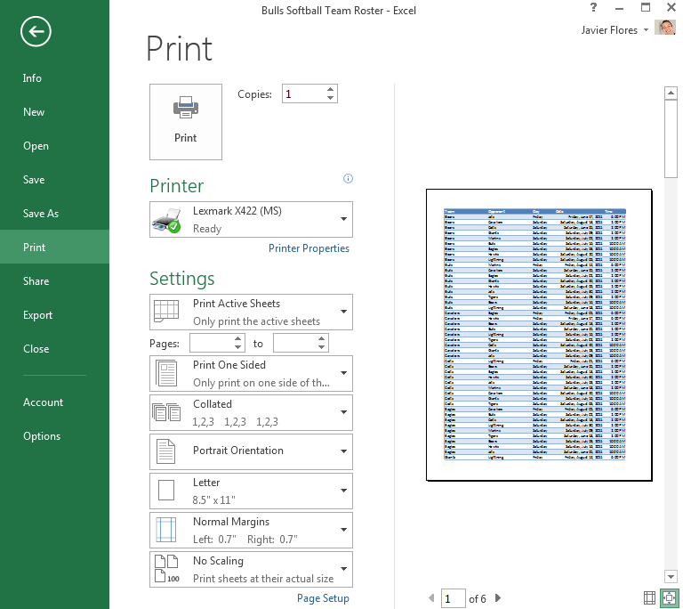 excel 2013 print preview button